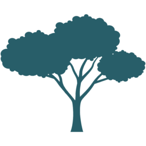 puumalli_transparent